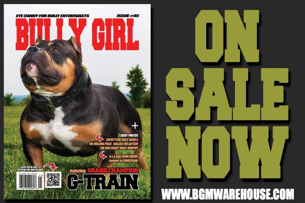 bully-girl-issue-45-promo