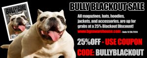 bully-blackout-sale