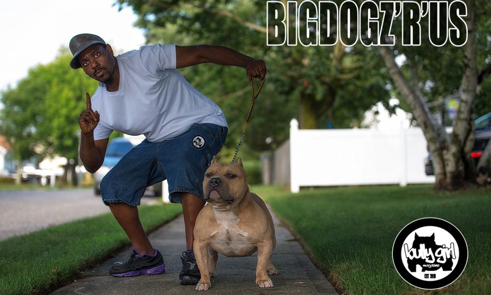Big Dogz 'R' Us Kennel