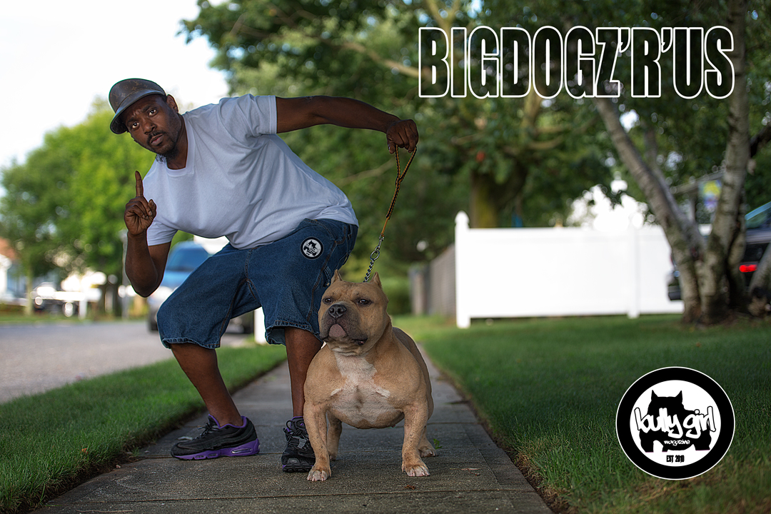 Big Dogz 'R' Us Kennel