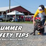 summer safety tips