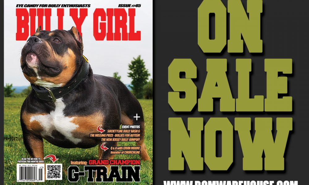 bully-girl-issue-45-promo