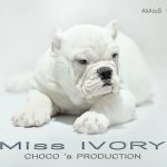 miss-ivory