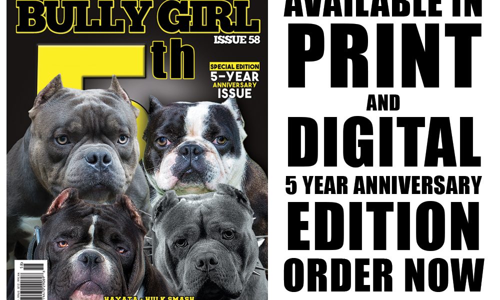 bullygirlmag-issue58-promo