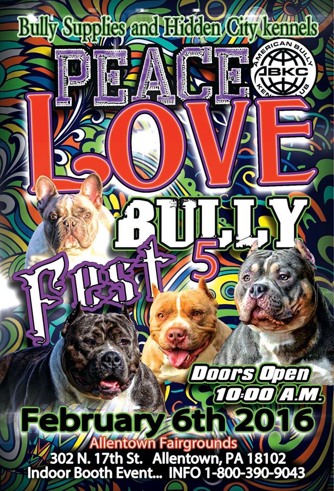 allentown peace love bully fest 5