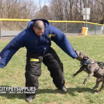 K9 Protection Training