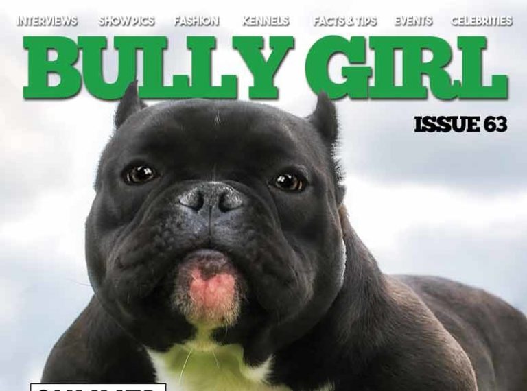 Bully Girl Magazine - Issue 63