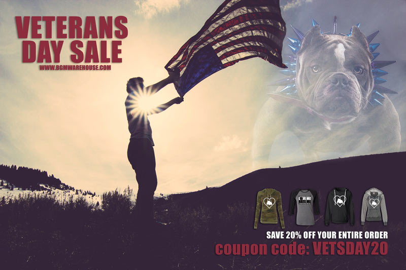 Veterans Day Sale at BGM Warehouse
