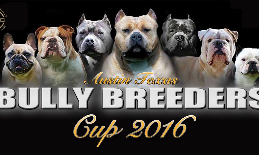 ABKC Bully Breeders Cup 2016