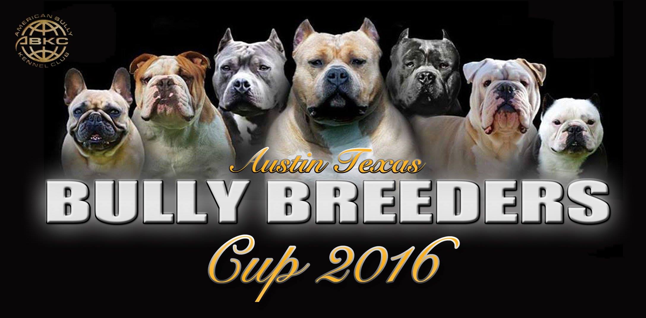 ABKC Bully Breeders Cup 2016