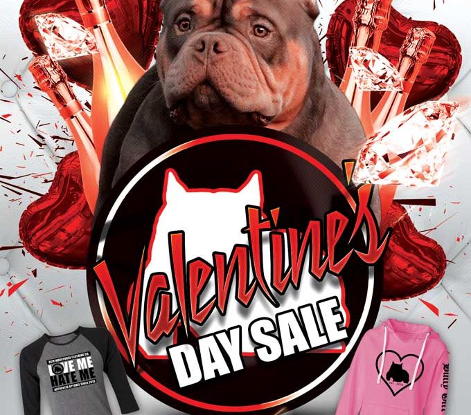 BGM Warehouse Valentines Day Sale 2017