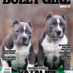 Bully Girl Magazine - Issue 67