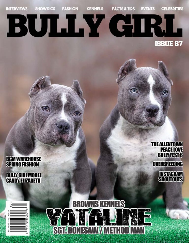 Bully Girl Magazine - Issue 67