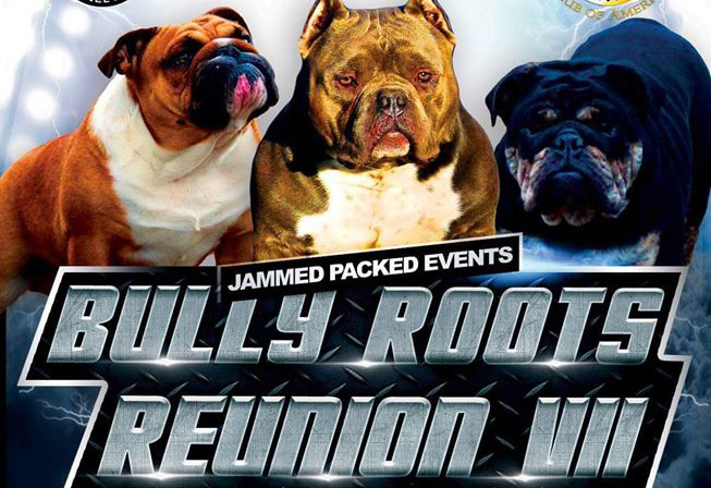 Bully Roots Reunion VII