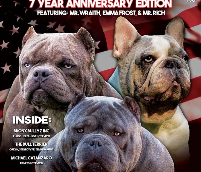 Bully Girl Magazine 7 Year Anniversary Issue
