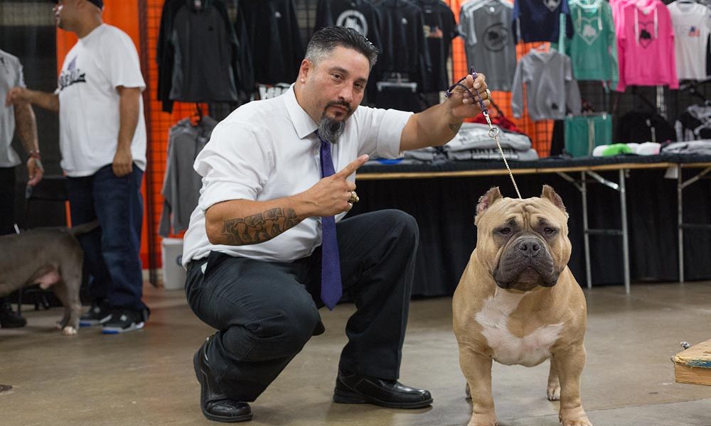 The Allentown Bully Convention 5 Show