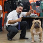 The Allentown Bully Convention 5 Show