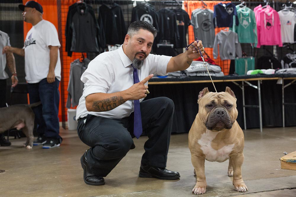 The Allentown Bully Convention 5 Show