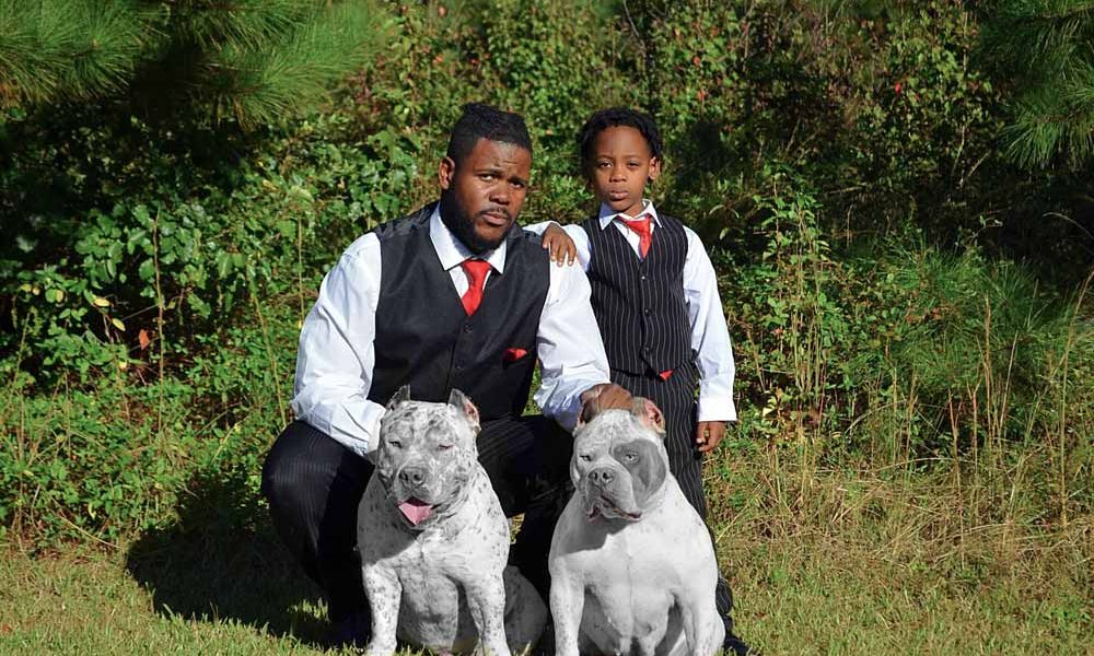 Turner Bullies: American Bully Breeder