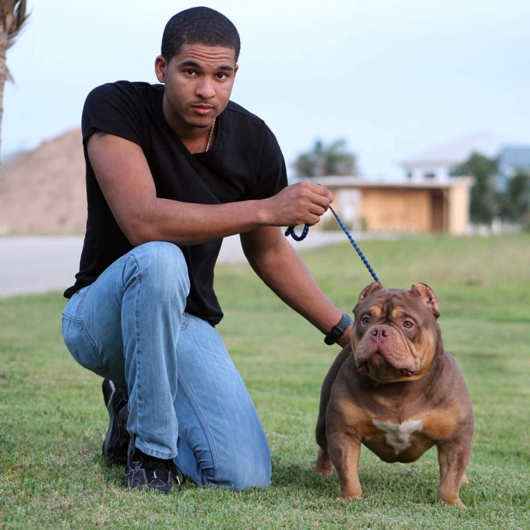 Crowned Kennels