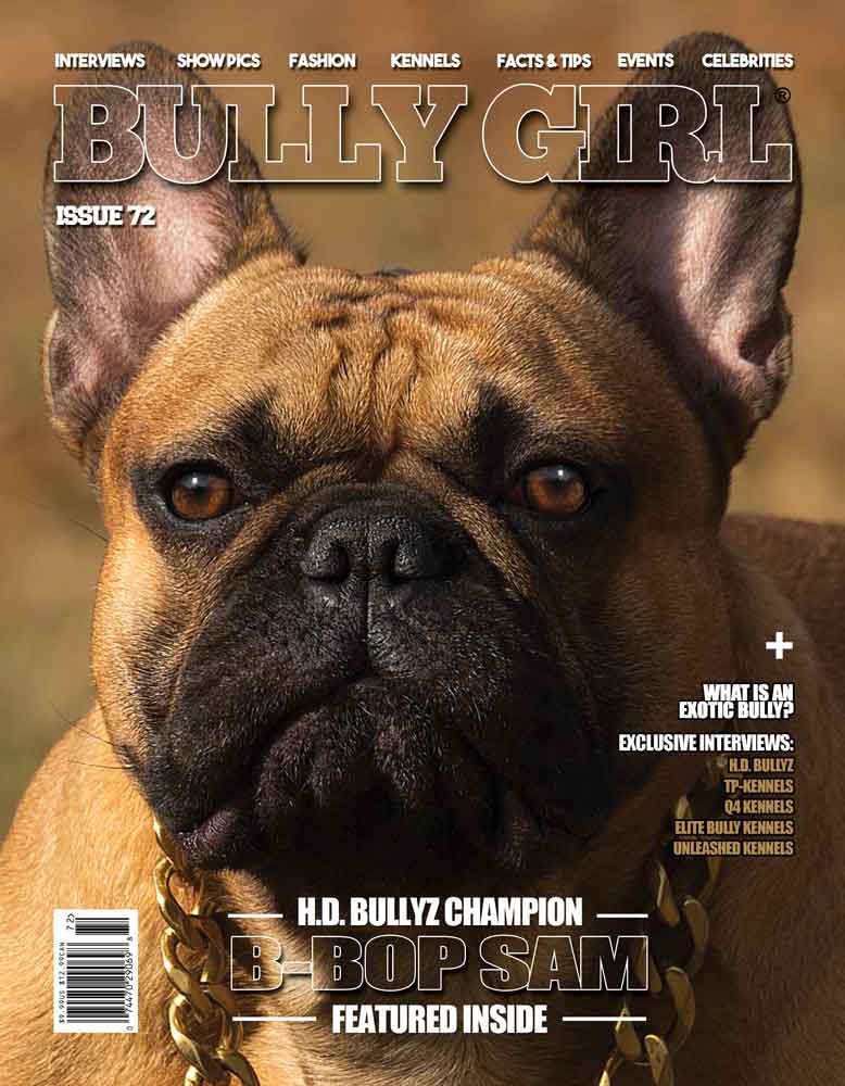 Bully Girl Magazine Issue 72