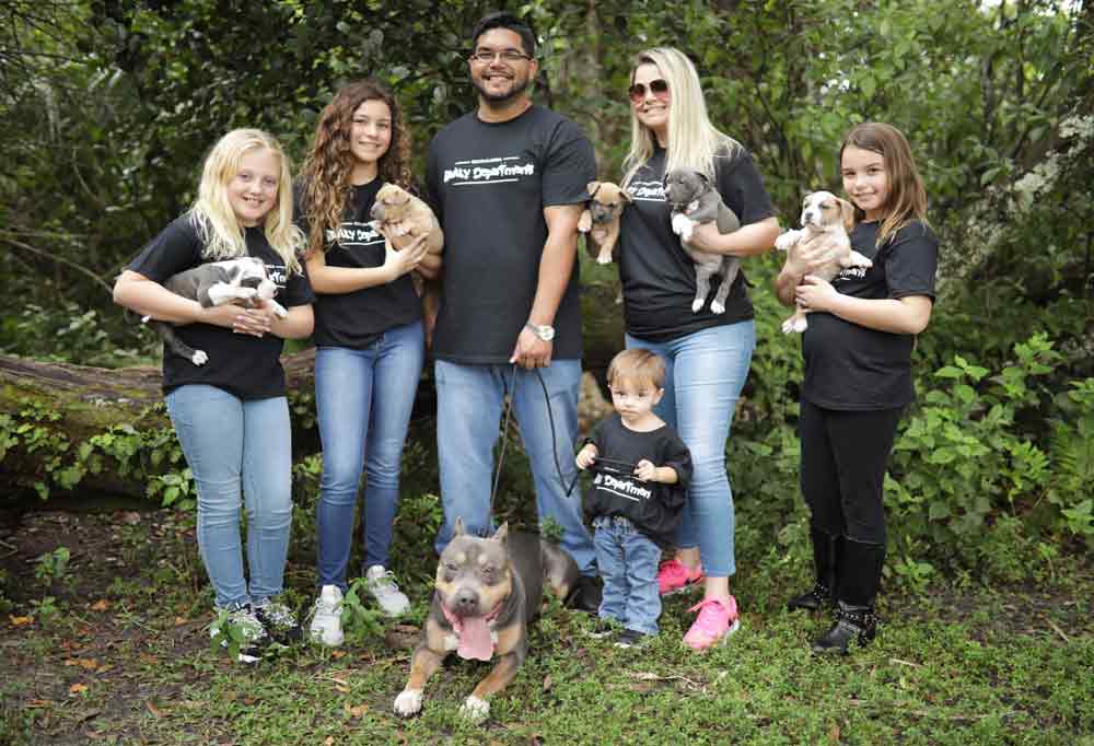 South Florida Bully Department: American Bully Breeder | Florida