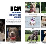 Bully Girl Magazine Issue 83 Photo Contest