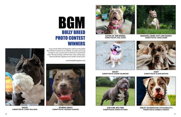 Bully Girl Magazine Issue 83 Photo Contest