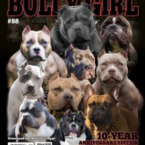 Bully Girl ® – A Community for Bully Breed Enthusiasts provided by the ...