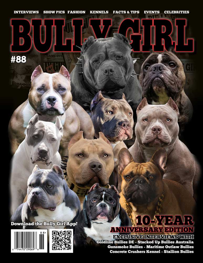 Bully Girl Magazine Issue 88