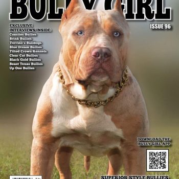 Bully Girl ® – A Community for Bully Breed Enthusiasts provided by the ...