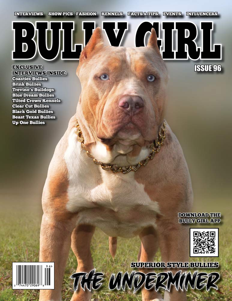 Bully Girl Magazine Issue 96
