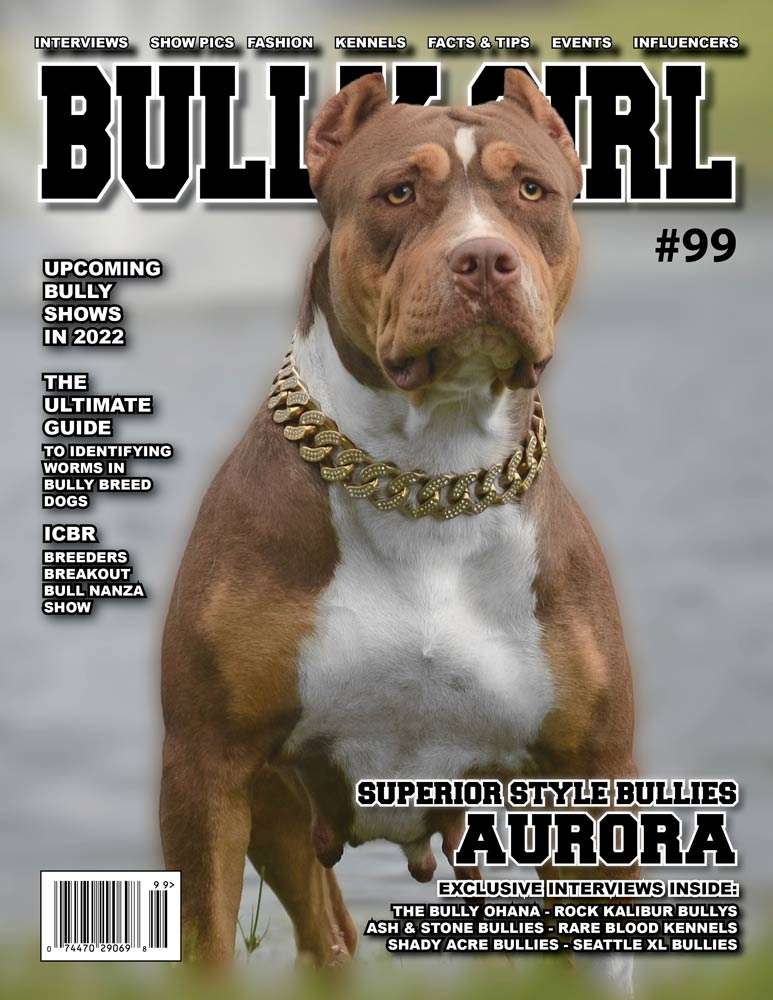 Bully Girl Magazine Issue 99